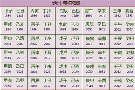 甲辰年2024五行|2024甲辰年 2024甲辰年五行属什么